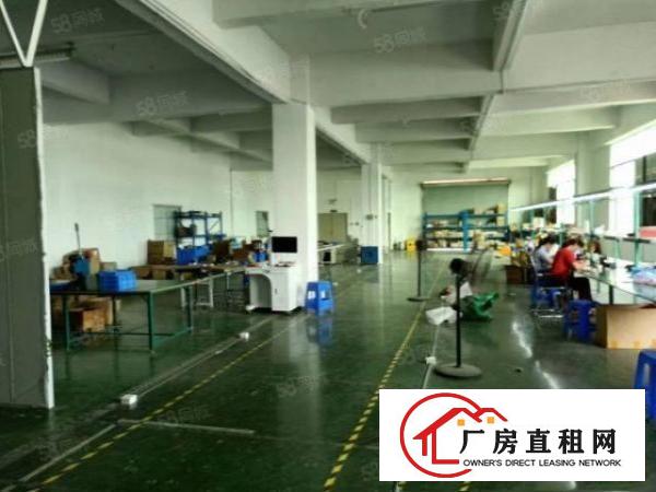  楼上精装980平车间干净明亮适合做电子，LED等各种行业