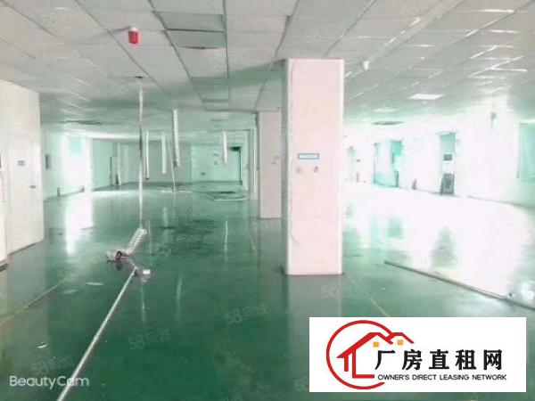  （村委自建3层独院6900平有独立变压器，可分层租公明田寮）