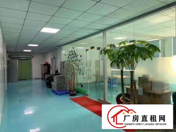  （村委自建3层独院6900平有独立变压器，可分层租公明田寮）