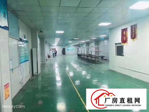  （村委自建3层独院6900平有独立变压器，可分层租公明田寮）