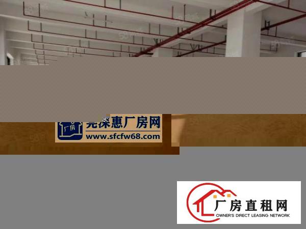  公明甲子塘新出原房东楼上带装修1500平方厂房招租