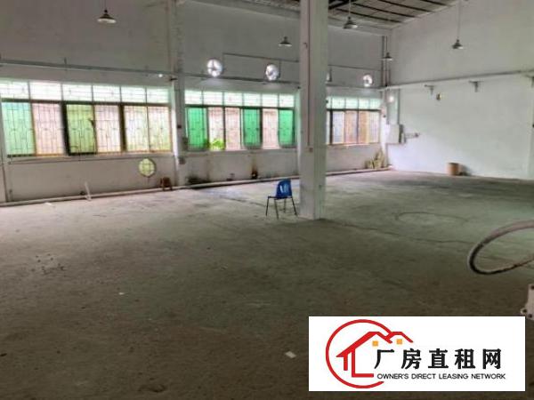  长安涌头社区500平方单一层小独栋铁皮房出租