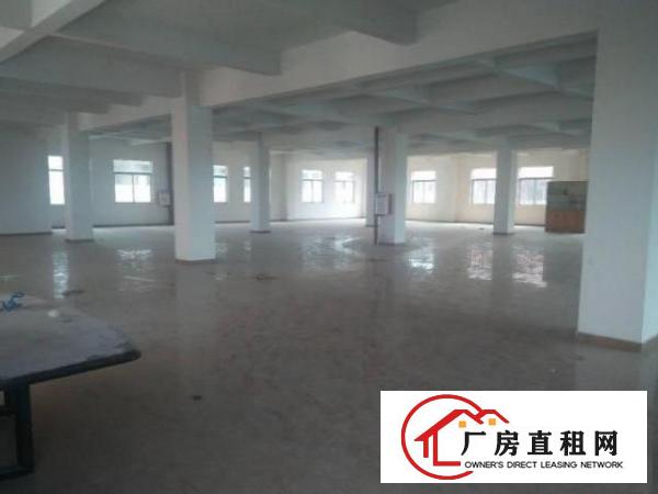  长安上沙社区独院出租厂房一层1000方形象好