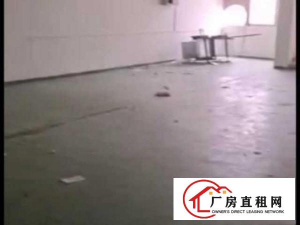  沙头新出230平，适合小型加工，电子行业，机械行业