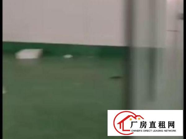  沙头新出230平，适合小型加工，电子行业，机械行业