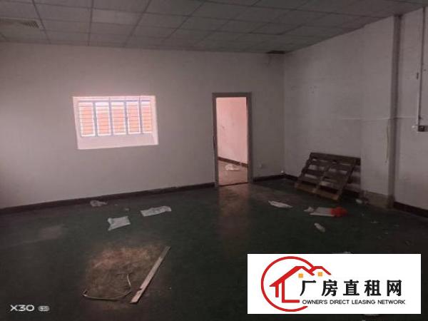  长安镇沙头社区460平，15元一平