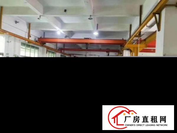  长安沙头1000平，独立办公，机械钢材类都适用