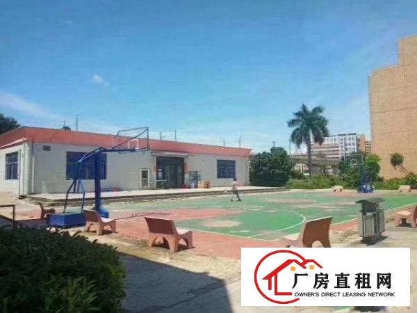  长安新安标准厂房，外观形象好、厂内带办公、招工容易