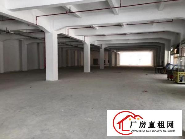  长安沙头社区新出原房东独栋厂房6600平大小可分租