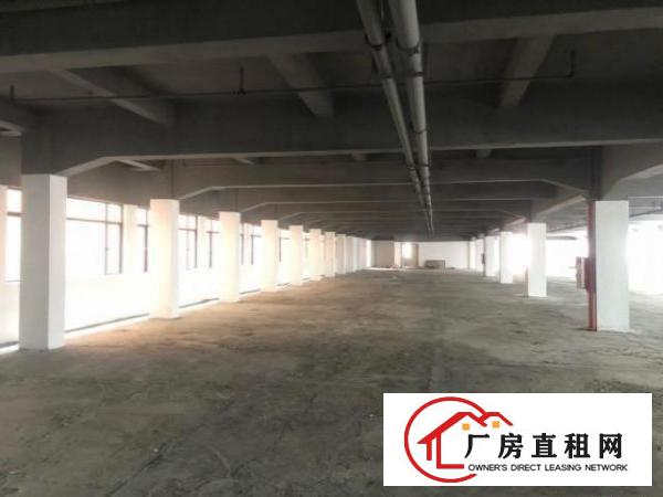  长安沙头社区新出原房东独栋厂房6600平大小可分租