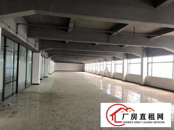 长安沙头社区新出原房东独栋厂房6600平大小可分租