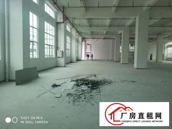  长安上沙中南广场旁独院3000平厂房出租可做仓库可分租