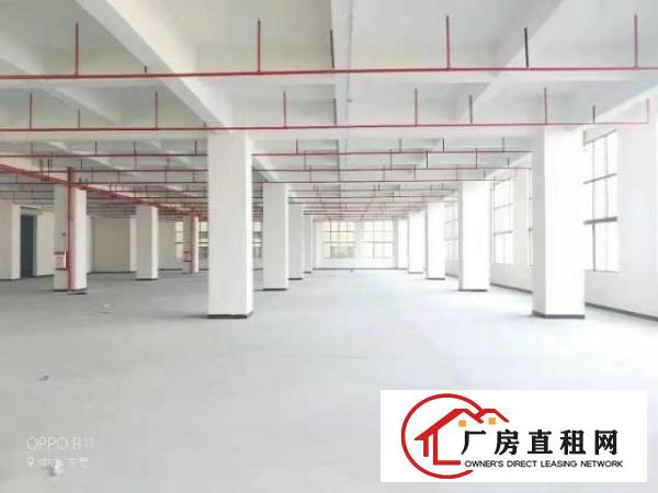  长安上沙中南广场旁独院3000平厂房出租可做仓库可分租