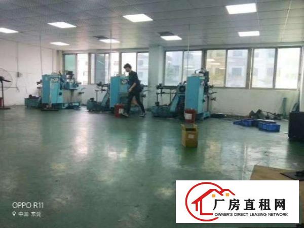  长安乌沙新安大桥旁原房东厂房楼上1200平15元