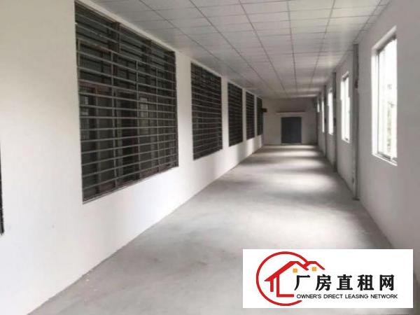  一手房东独院厂房，近深圳，人流量大，离高铁口步行可至。