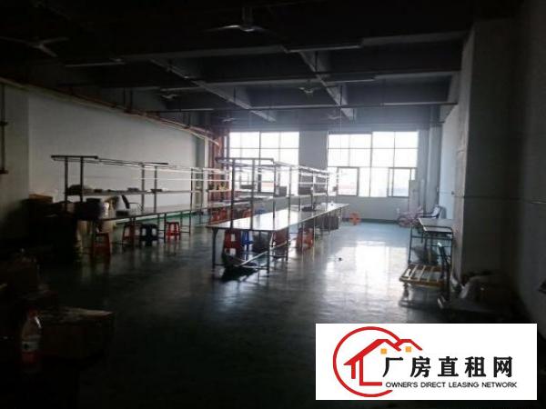  新安大桥附近高新创意园楼上530平方豪华装修