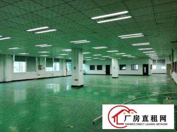  全新二楼厂房出租，带装修。大小分租