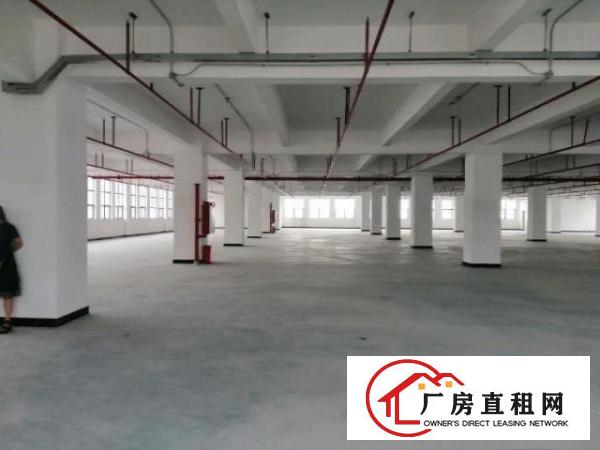  长安花园试厂房招租，一整层3200平，价格实惠，带红本！