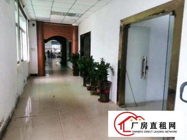 长安沙头新空出厂房出租，豪华装修免费送，三楼450平！