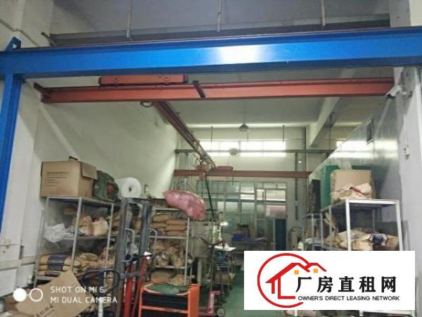  长安涌头一楼800平厂房出租可架行车水电齐全