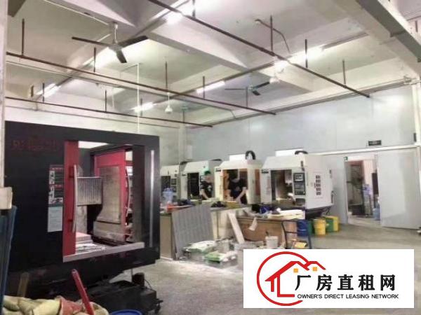  （出租）长安沙头一楼精装修1000平带行车水电齐全
