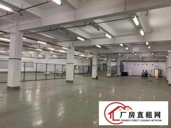  街口新安新出楼上整层2000方无公摊车位足
