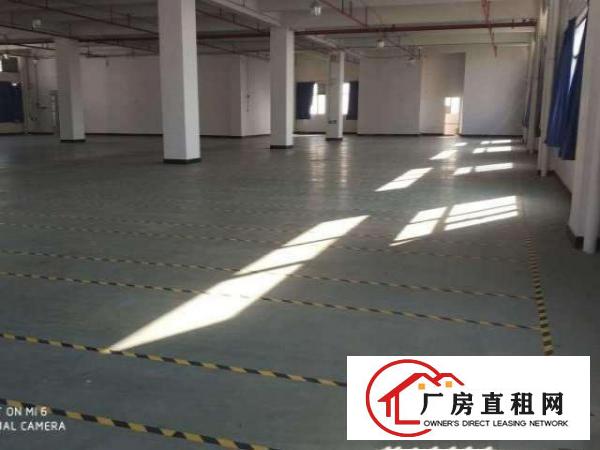  长安乌沙独院厂房4500平厂房优先整租水电齐全可分租