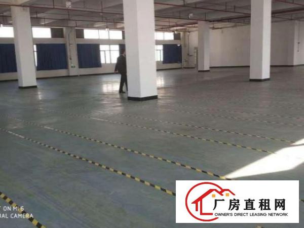  长安乌沙独院厂房4500平厂房优先整租水电齐全可分租