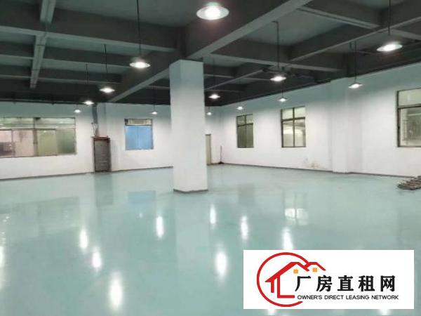  长安涌头一楼1000平厂房出租低至20元