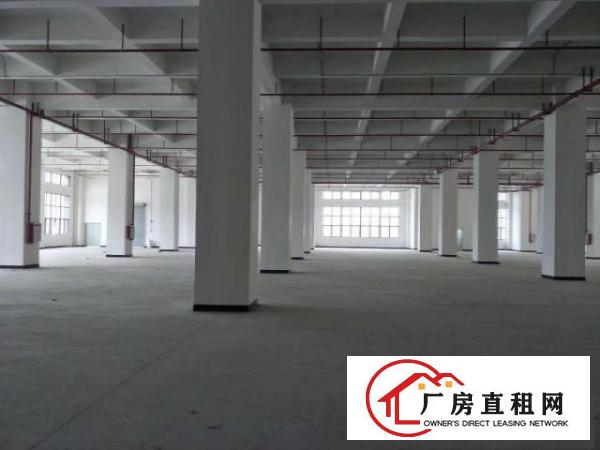  长安镇宵边社区全新厂房一楼5500平6米高可分租