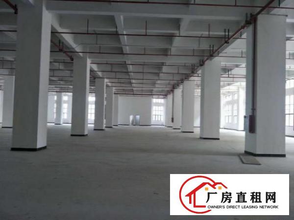  长安镇宵边社区全新厂房一楼5500平6米高可分租
