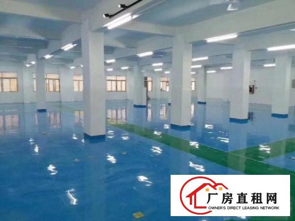  长安镇宵边社区一楼厂房1500平带精装修水电齐全