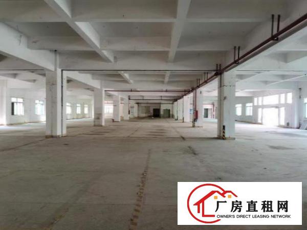  长安镇宵边社区一楼厂房3500平可分租5米高
