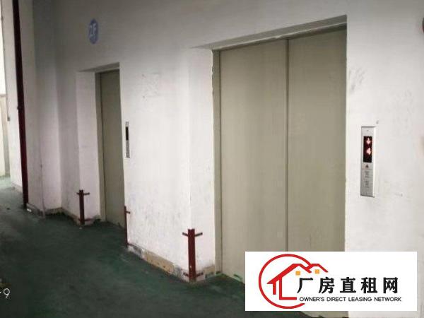  长安乌沙大润发旁楼上300平起租电子厂房已分割好