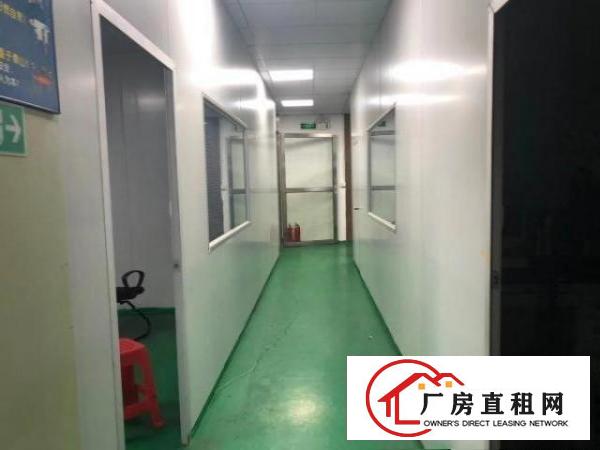  长安镇涌头一楼1000平厂房出租可架行车模具五金有行车