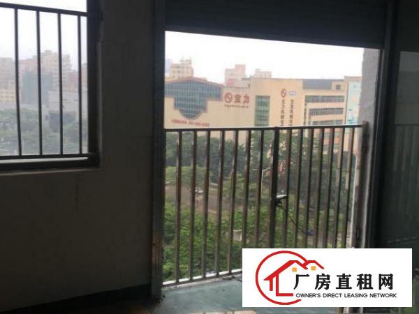  近深圳，大路边，精装修
