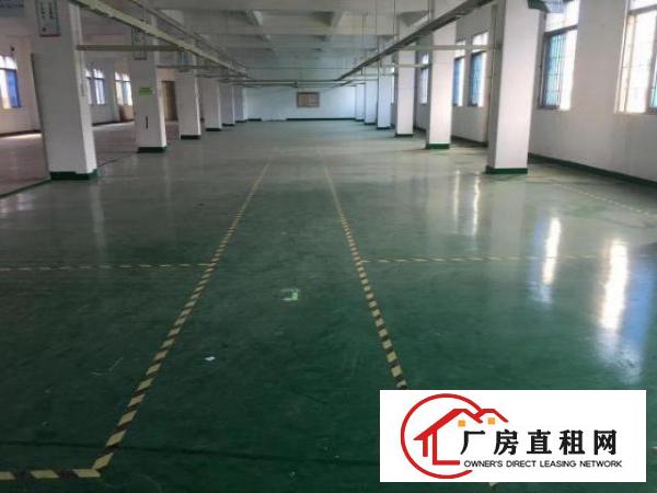  出租长安镇锦厦600平方厂房，价格便宜，可分隔