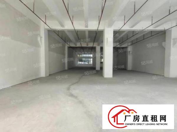  长安厦边社区厂房一楼200平300平480平适合物流快递仓储
