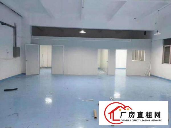  出租长安宵边全新240平方，设施齐全，带有办公室，价格便宜