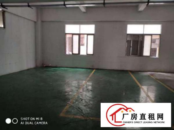  长安沙头东大路附近一楼380平.二楼550平出租