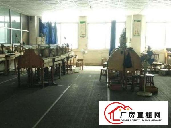  长安锦厦新独院3000平厂房出租可分租水电齐全