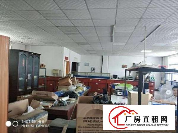 长安霄边500平厂房出租临界深圳松岗不堵车空地大