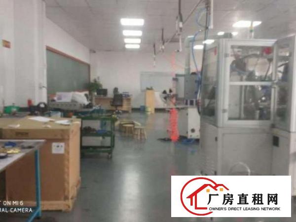  长安乌沙一楼1000平米厂房出租(带装修)出租楼层高