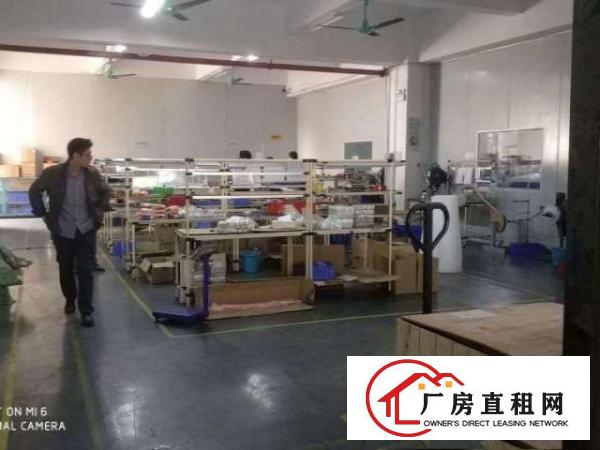  长安乌沙一楼1000平米厂房出租(带装修)出租楼层高