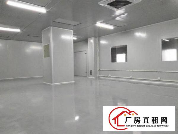  （出租)长安乌沙新出无尘车间1000平，水电齐全不堵车