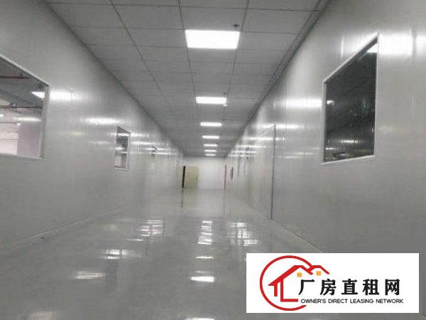  （出租)长安乌沙新出无尘车间1000平，水电齐全不堵车