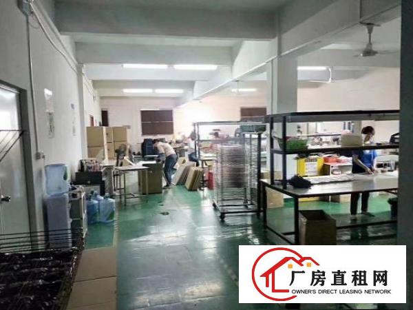  长安上沙楼上电子五金厂房楼上600平厂房出租