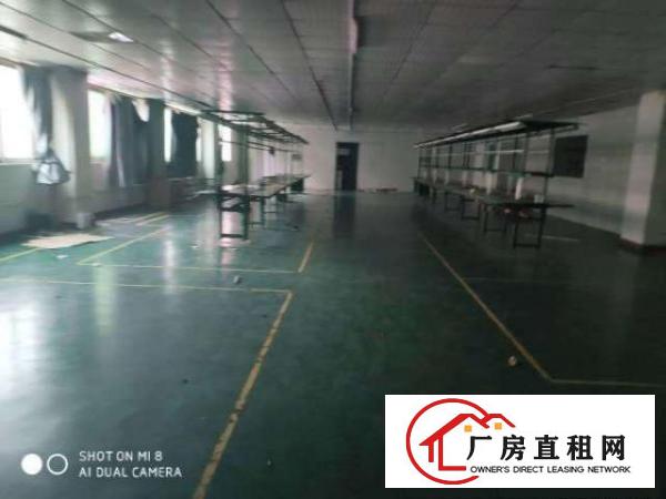  （出租）新出长安沙头600平厂房带装修水电齐全