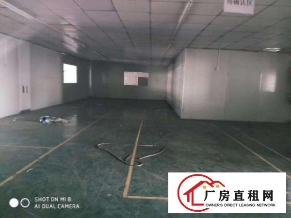 （出租）新出长安沙头600平厂房带装修水电齐全