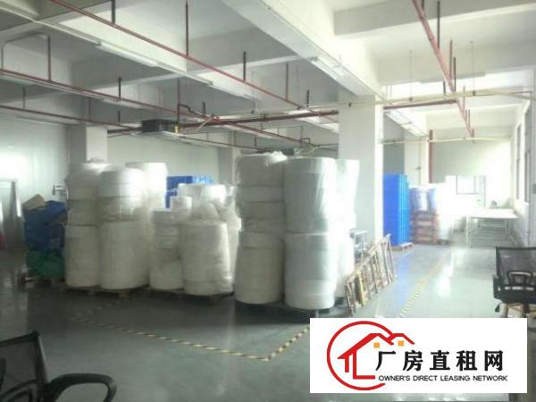  长安新出一楼2600平层高7米重工业厂房出租